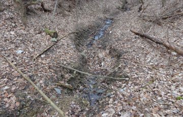 Studánka: Pod jeslemi 1