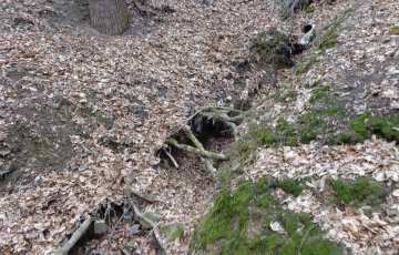 Studánka: Pod jeslemi 2