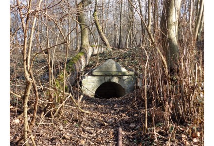 Studánka: Krellova