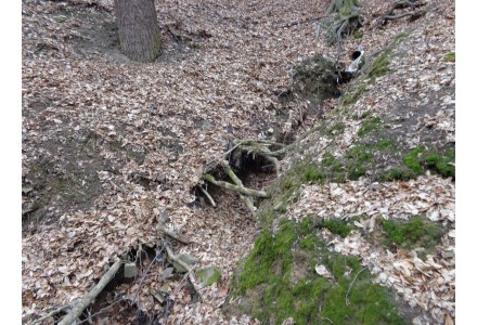 Studánka: Pod jeslemi 2