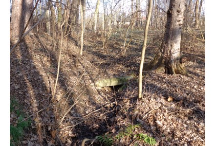 Studánka: Sadová