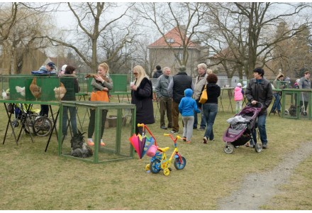 Kunratické vítání jara