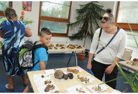 Výstava hub, jiřinek a jubilejní 50. výstava obrázků zdravotně postižených a seniorů