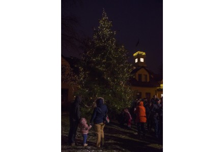 Slavnostní rozsvícení vánočního stromu před radnicí v neděli 2.12.2018 od 15:30 hodin.