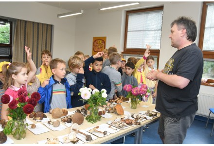 TRADIČNÍ VÝSTAVA HUB A JIŘINEK
