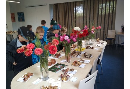 Jiřinky a houby 2017