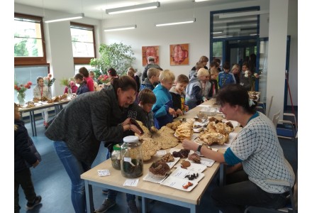 Jiřinky a houby 2017