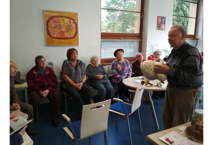 Jiřinky a houby 2017