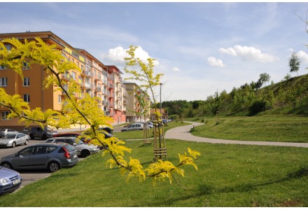 Rybník Šeberák 2014